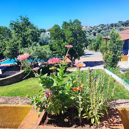 With Pool Ferienhaus